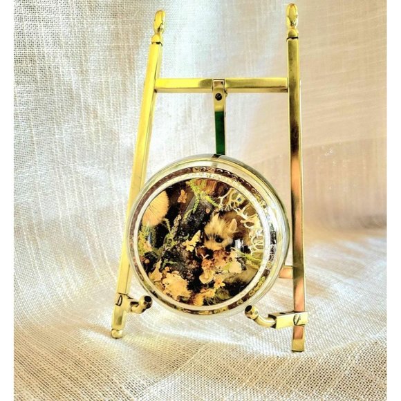 Vintage Lucite Pressed Flower Moss Squirrel Paperweight - Picture 1 of 10